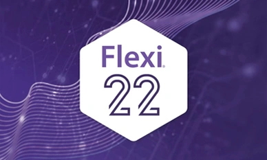 Hanrun Paper DTF 版用 FlexiPrint V22