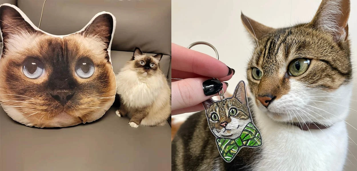国際猫の日のあなたの猫に最適なカスタマイズされたギフト