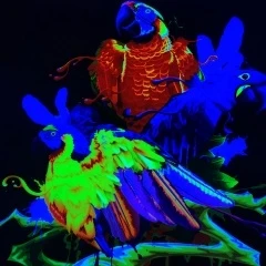 HD-NEON昇華インク