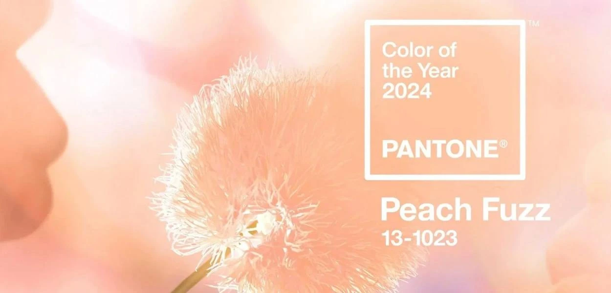 Peach Fuzz - Pantone Color of 2024 の使用方法?